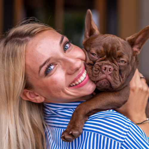 ❓ Est-ce difficile d’avoir un bouledogue français ?