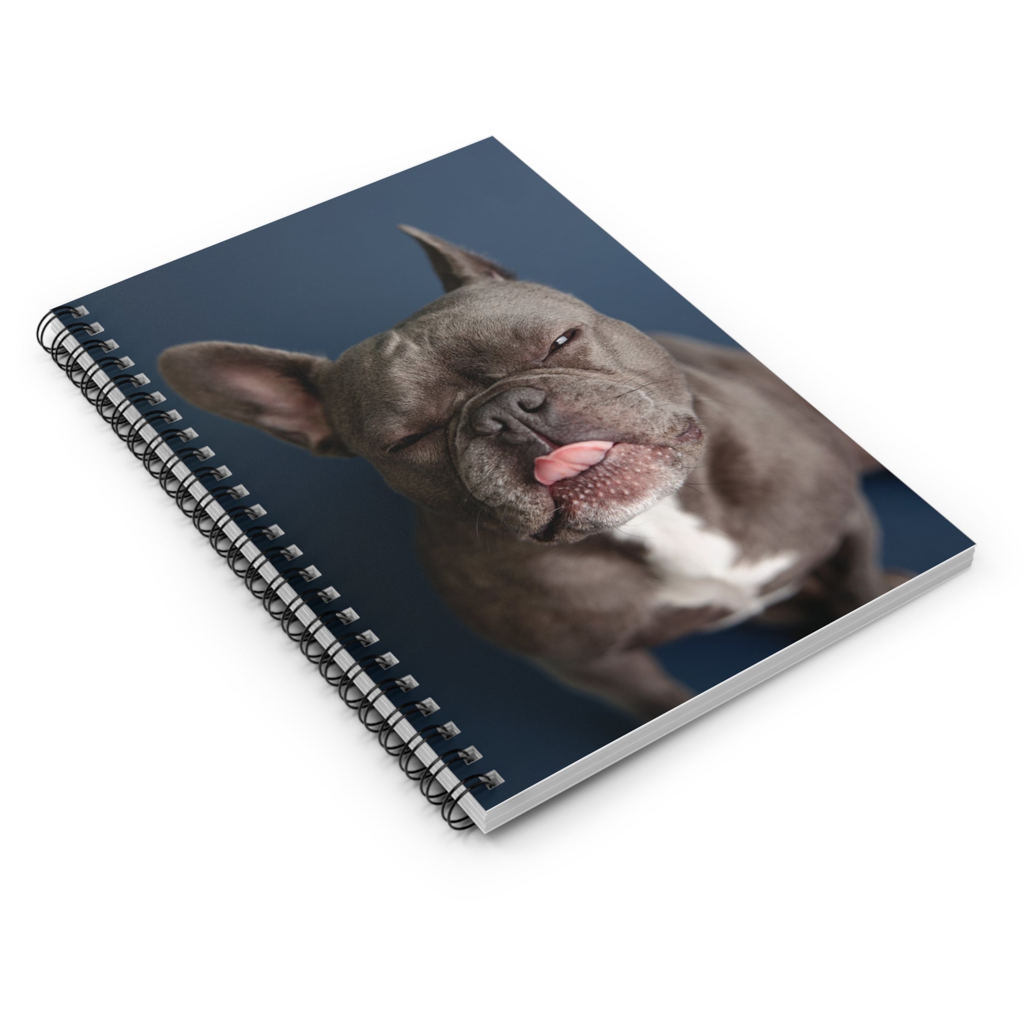 Notebook Poky™️