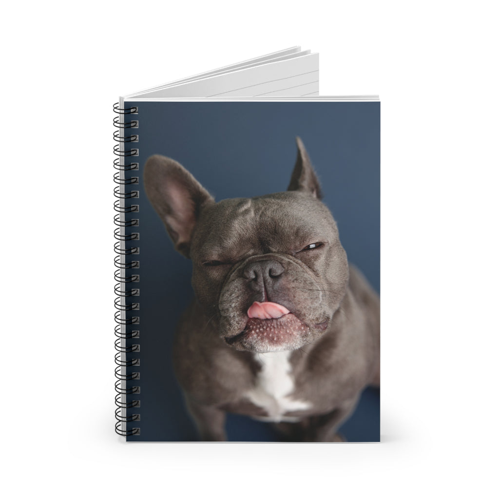 Notebook Poky™️