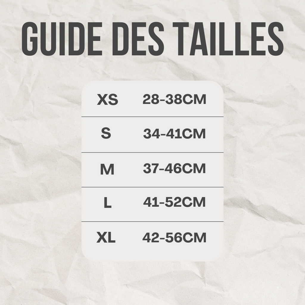 Collier à led™️ - RoyalFrenchie