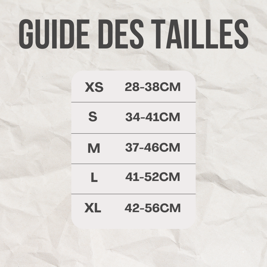 Collier à led™️ - RoyalFrenchie