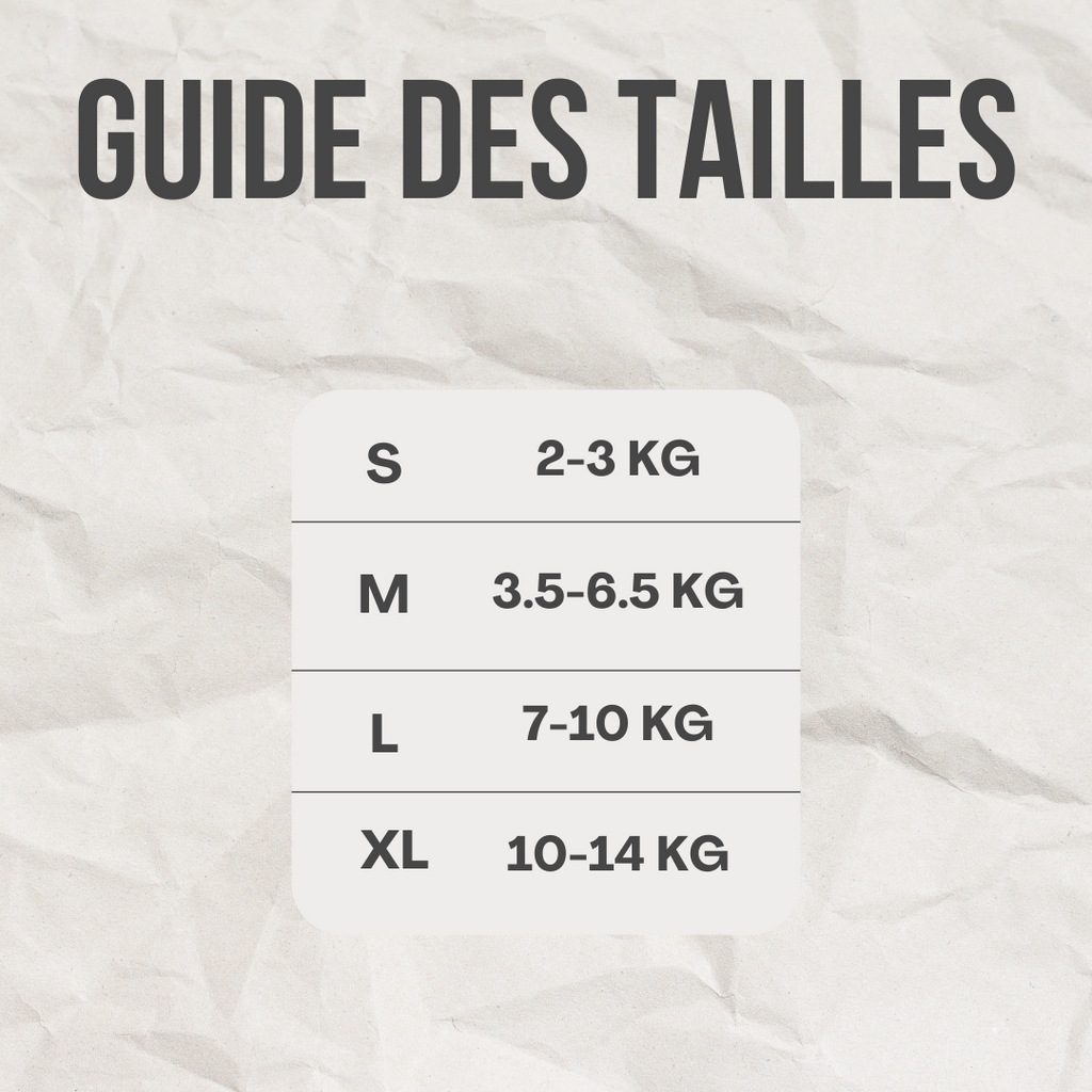 Ensemble harnais / laisse dino™️ - RoyalFrenchie