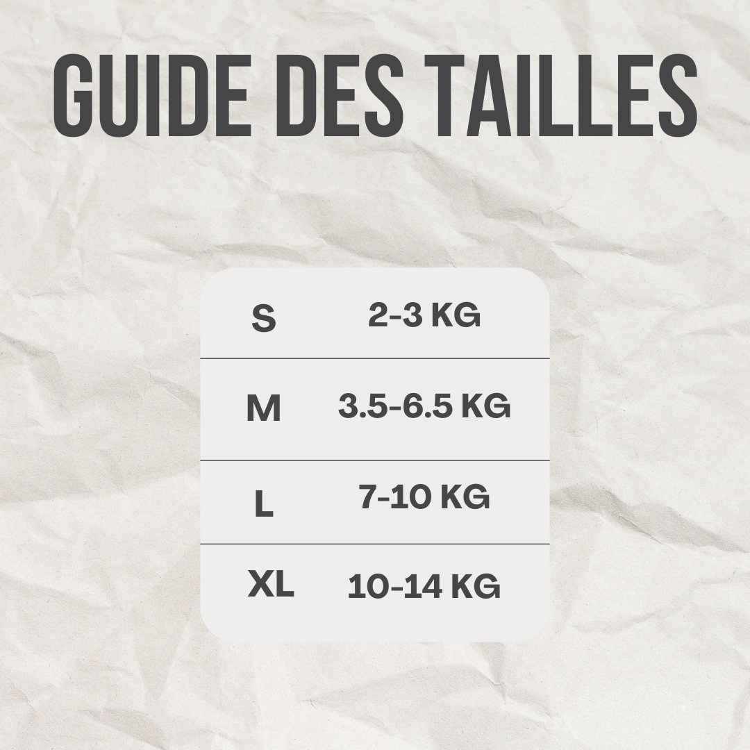 Ensemble harnais / laisse dino™️ - RoyalFrenchie