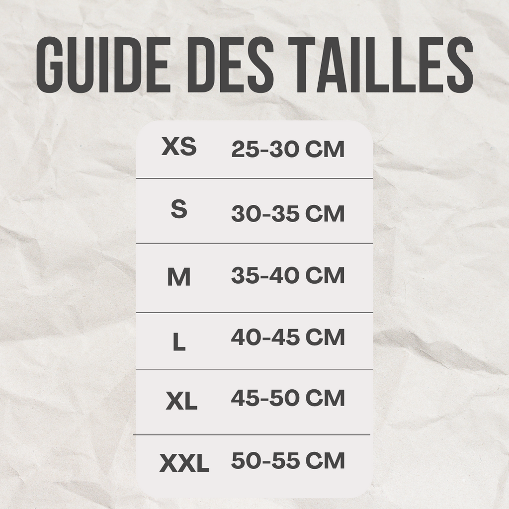 Ensemble harnais / laisse canard™️ - RoyalFrenchie