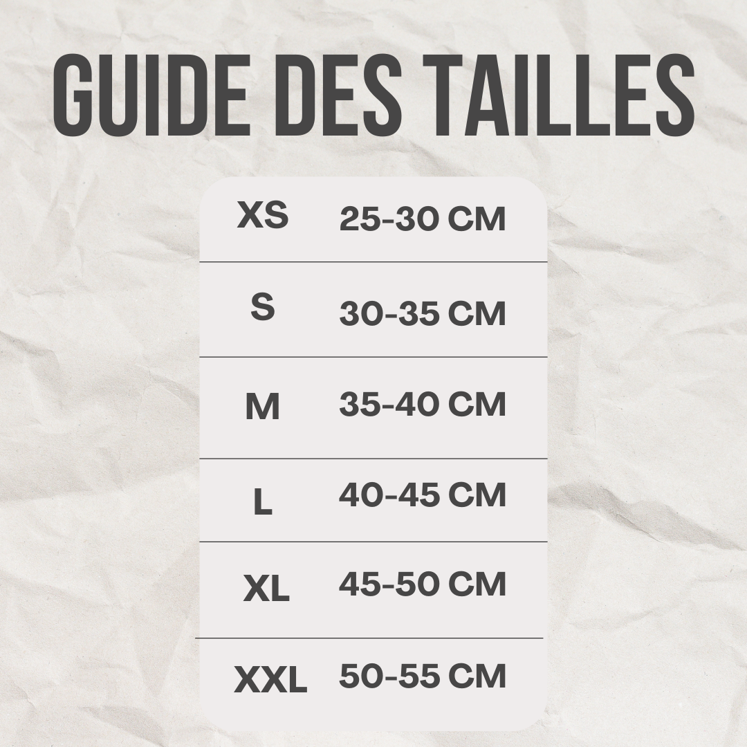 Ensemble harnais / laisse canard™️ - RoyalFrenchie