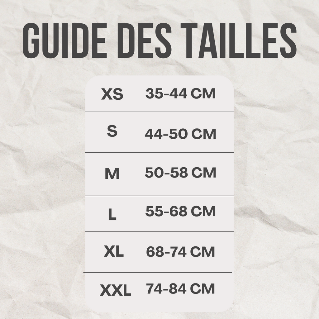 Gilet requin™️ - RoyalFrenchie