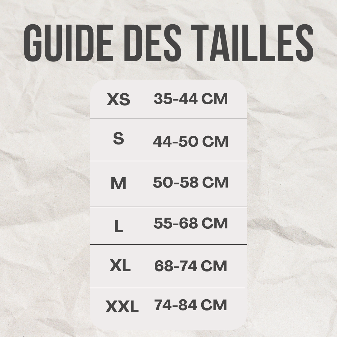 Gilet requin™️ - RoyalFrenchie