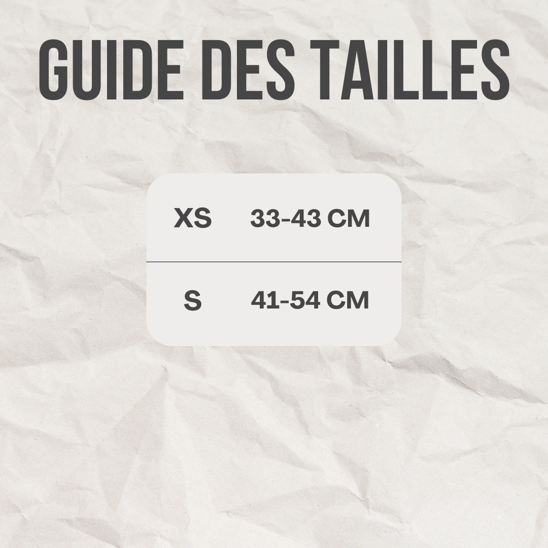 Harnais avec laisse™️ - RoyalFrenchie