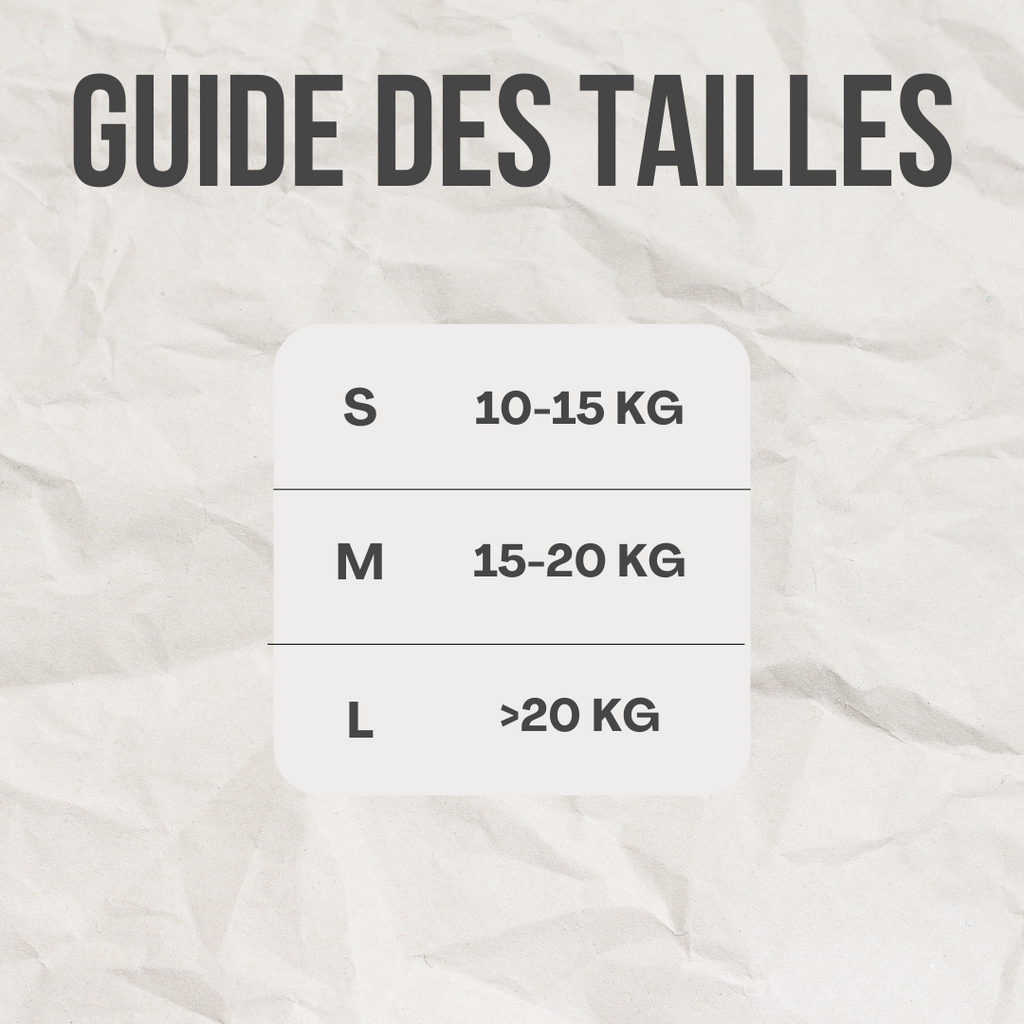 Bob™️ - RoyalFrenchie