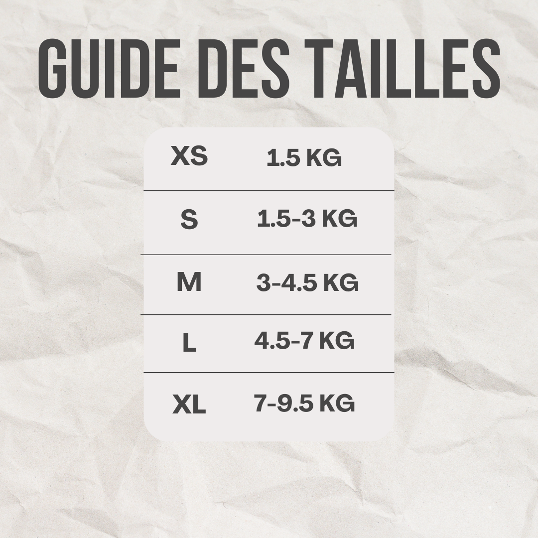 Harnais / laisse™️ - RoyalFrenchie