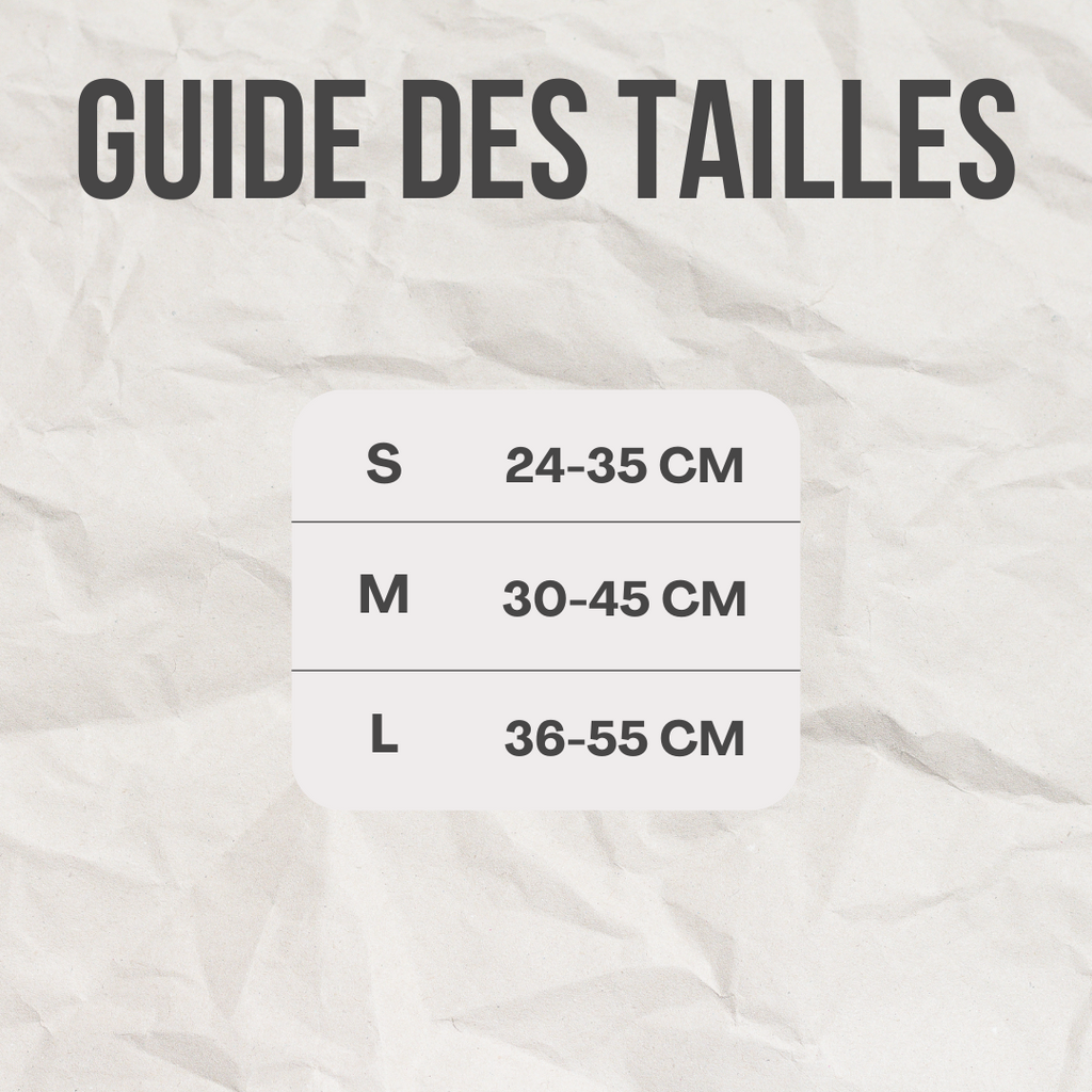 Collier nœud papillon™️ - RoyalFrenchie