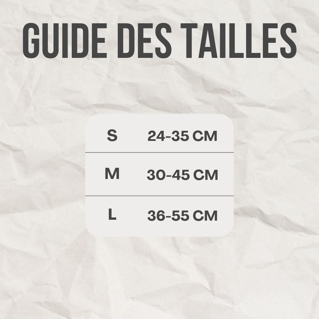 Collier nœud papillon™️ - RoyalFrenchie