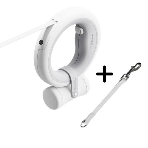 Laisse rétractable™️ - RoyalFrenchie