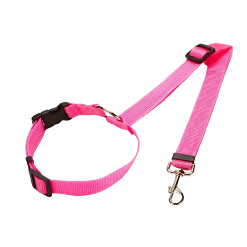 Ceinture de sécurité™️ - RoyalFrenchie