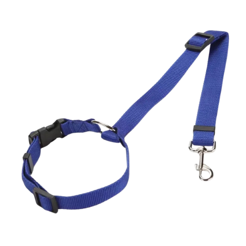 Ceinture de sécurité™️ - RoyalFrenchie