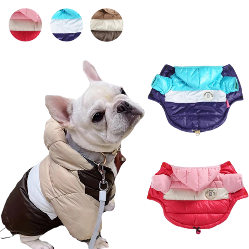 Doudoune imperméable à capuche™️ - RoyalFrenchie