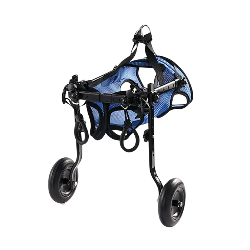 Fauteuil Rolly™️