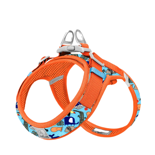 Harnais Flory ™️