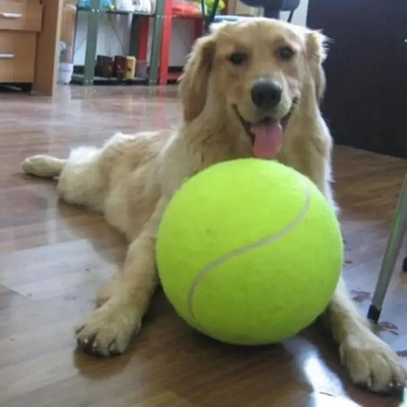 Balle de Tennis Géante pour Chien™️