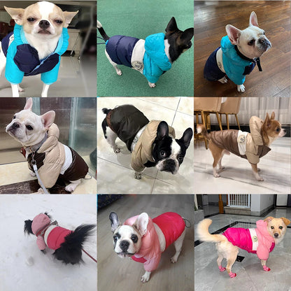 Doudoune imperméable à capuche™️ - RoyalFrenchie