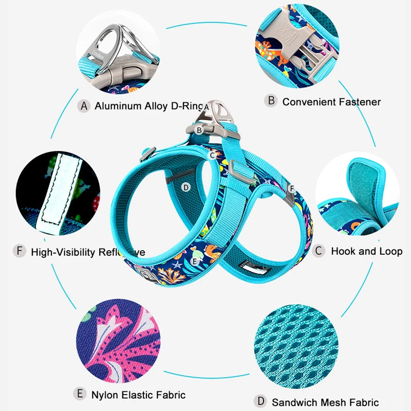 Harnais Flory ™️