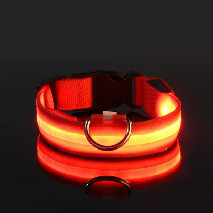 Collier à led™️ - RoyalFrenchie