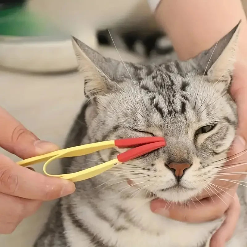 Brosse toilettage™️ - RoyalFrenchie