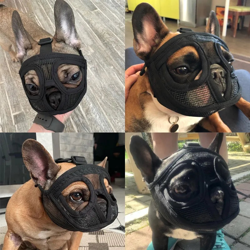 Muselière réglable pour bouledogue français™️ - RoyalFrenchie