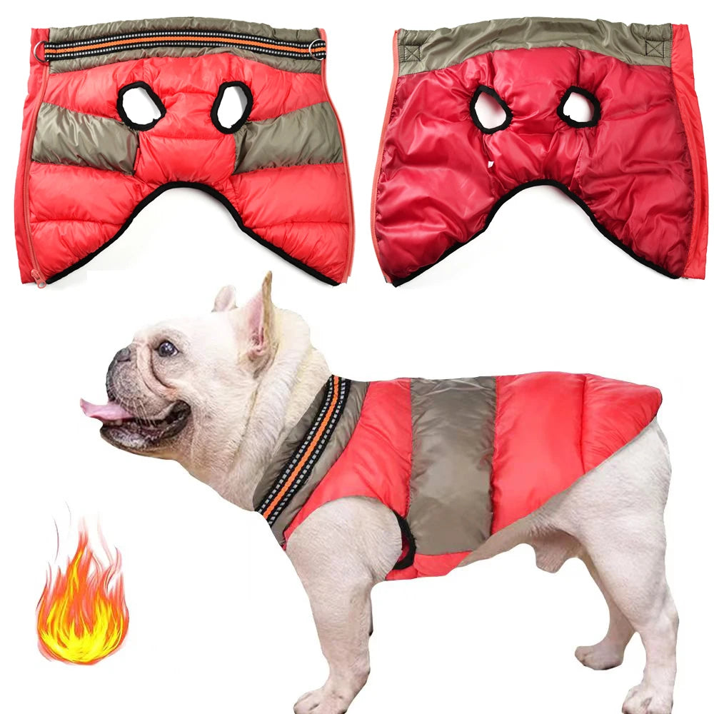 Gilet coupe-vent™️ - RoyalFrenchie