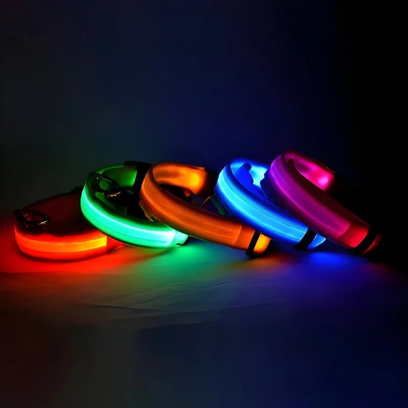 Collier à led™️ - RoyalFrenchie