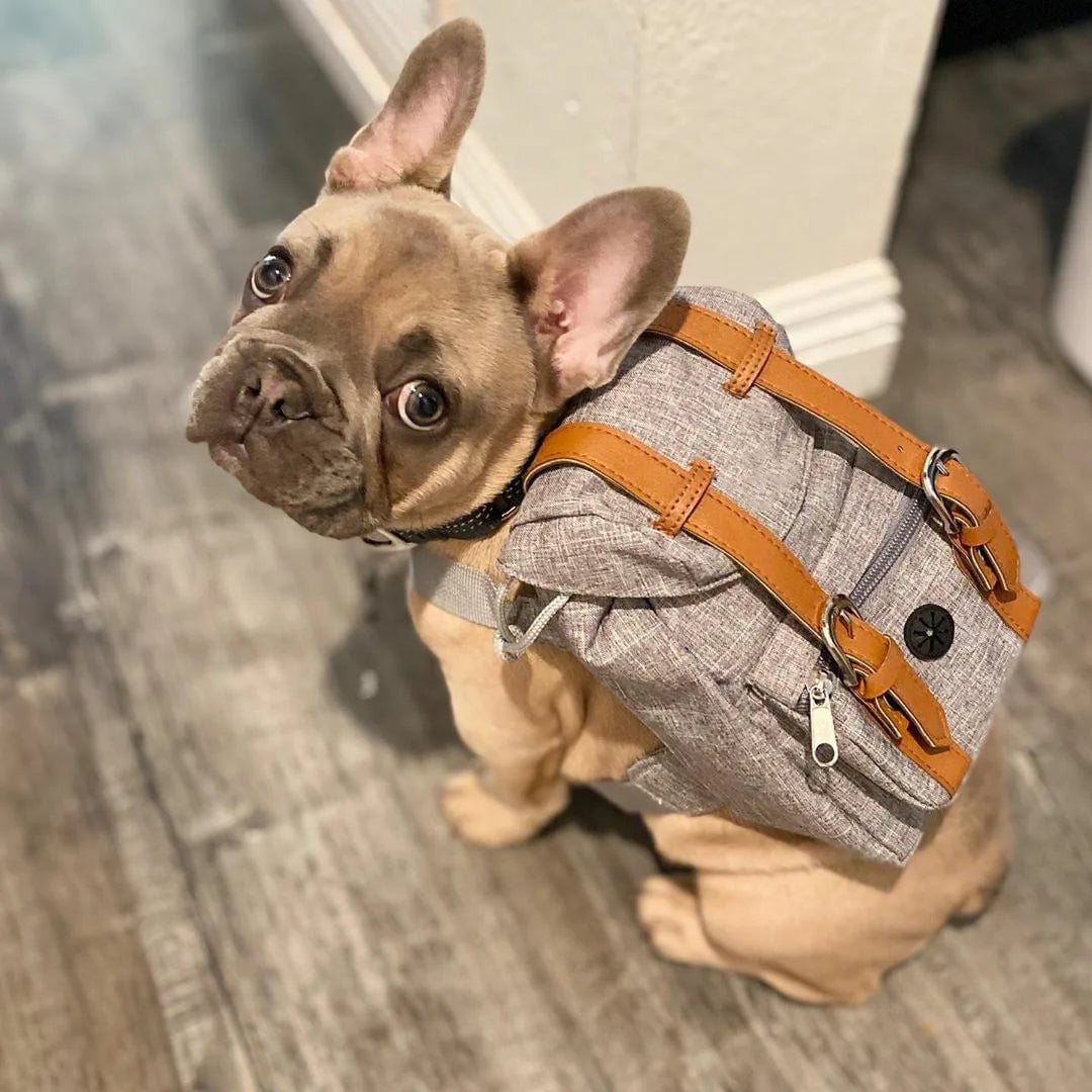 Sac à dos™️ - RoyalFrenchie