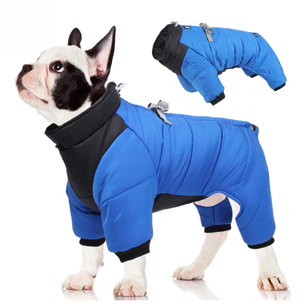 Combinaison imperméable™️ - RoyalFrenchie