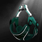 Ensemble harnais / laisse dino™️ - RoyalFrenchie