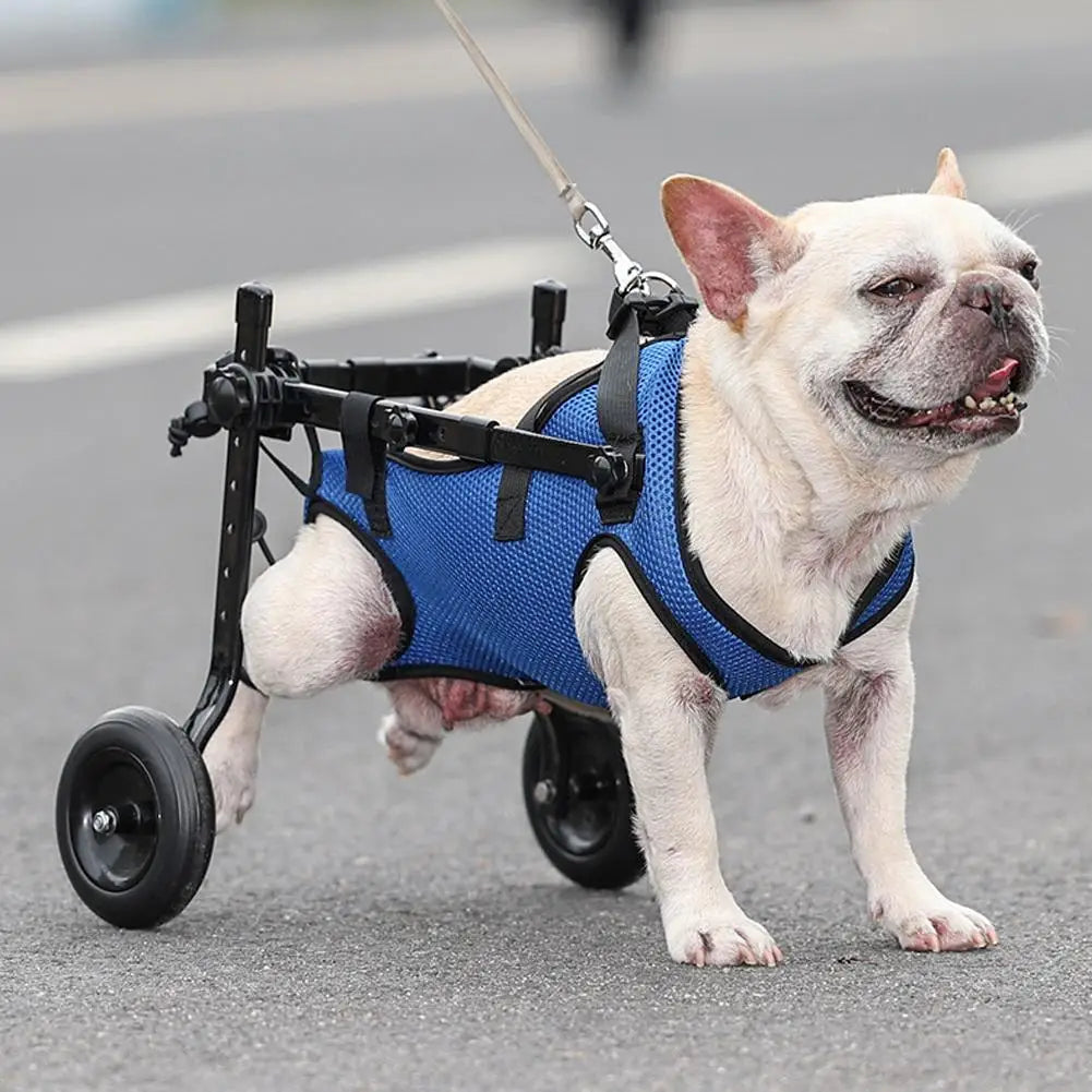 Fauteuil Rolly™️