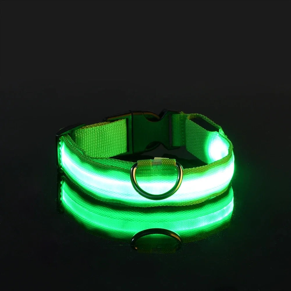 Collier à led™️ - RoyalFrenchie