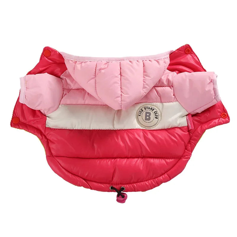 Doudoune imperméable à capuche™️ - RoyalFrenchie