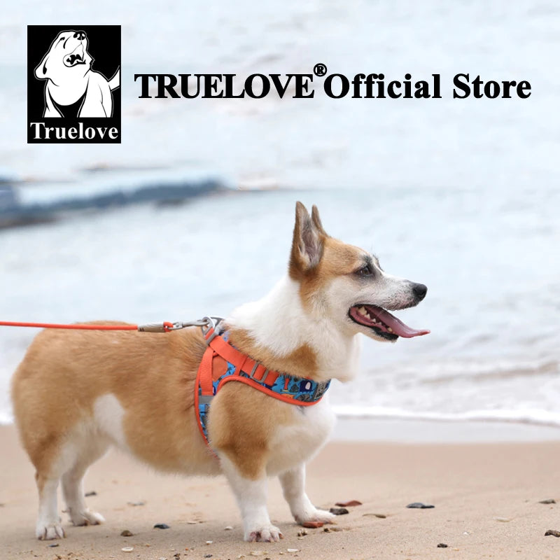 Harnais Flory ™️