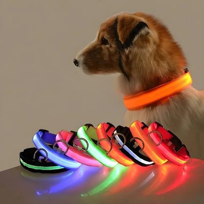 Collier à led™️ - RoyalFrenchie