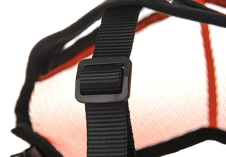 Muselière réglable pour bouledogue français™️ - RoyalFrenchie