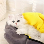 Serviette Absory™️