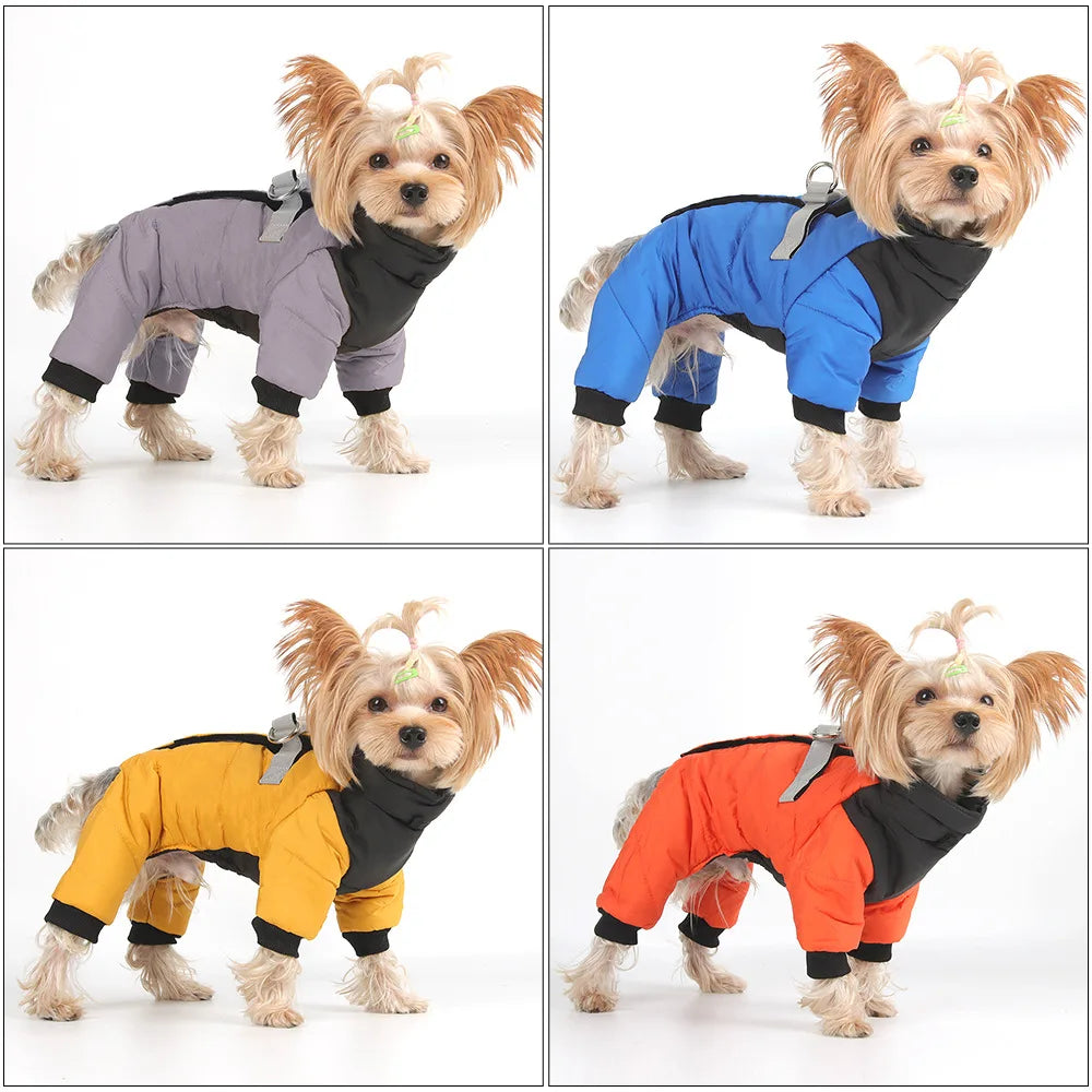 Combinaison imperméable™️ - RoyalFrenchie