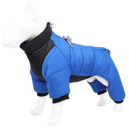 Combinaison imperméable™️ - RoyalFrenchie