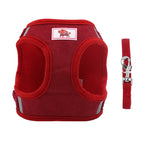 Harnais / laisse™️ - RoyalFrenchie