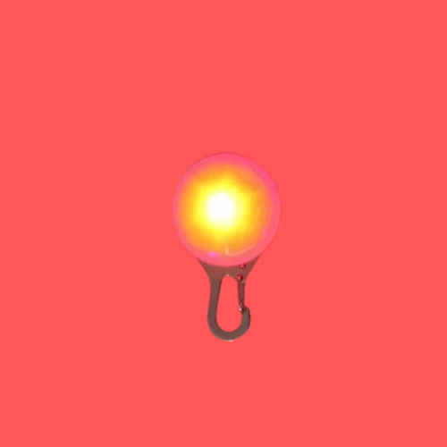 Médaillon Pawy™️